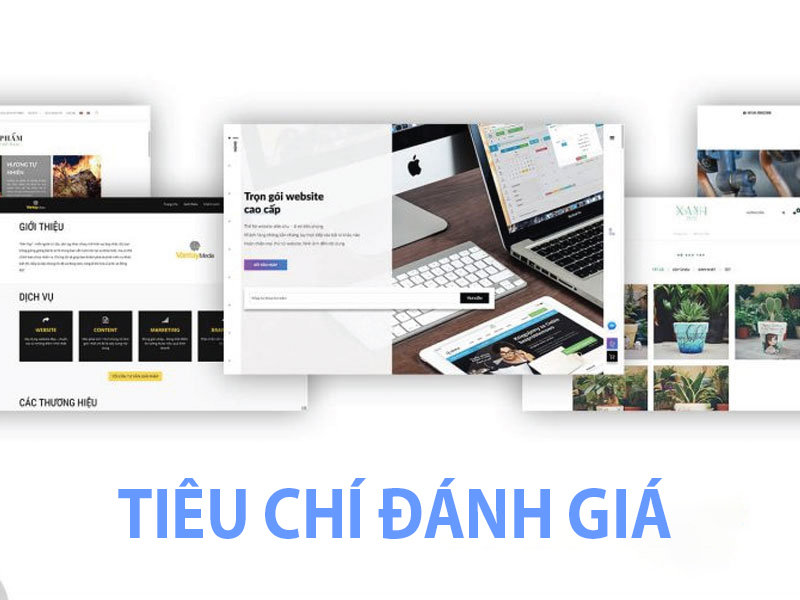 Dịch vụ thiết kế website