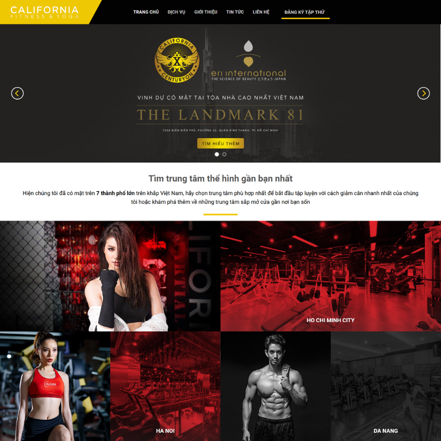Themes wordpress gym