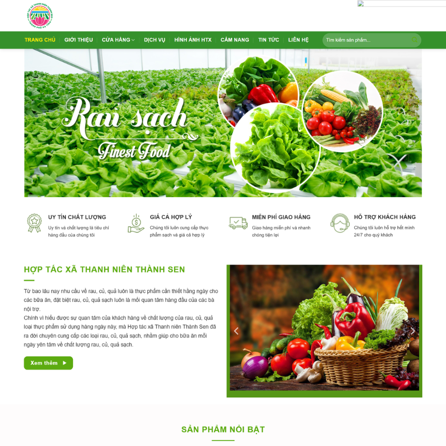 Themes wordpress HTX